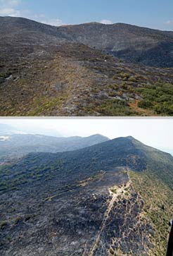 Dos imágenes de la zona afectada por el fuego en los montes Aurinos.