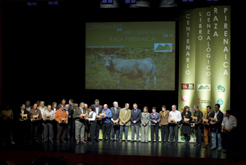 Homenaje a los criadores de bovino de raza pirenaica