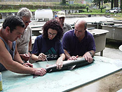 Varios técnicos analizan un salmón