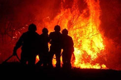 Los bomberos extinguen un incendio forestal.