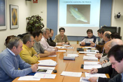 La consejera Sanzberro preside la reunión de la Comisión Asesora de Pesca