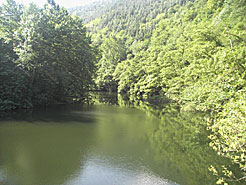 El río Bidasoa