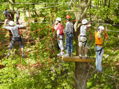 Imagen de parque aventura, un circuito sobre cables y plataformas colocadas en un bosque