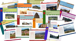 Imágenes de las páginas Web de diversas localidades navarras. 