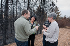 El Gobierno de Navarra costeará la restauración forestal de la zona afectada por el incendio de Arraiza 