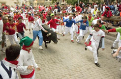 un toro avanza entre mozos por el Callejón