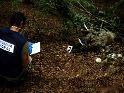 Imagen del descubrimiento de los restos de un animal en Orabidea.