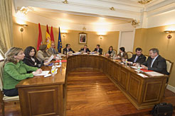 Sesión Gobierno en salón plenos San Adrián