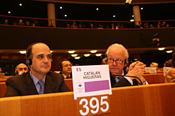 El consejero Catalán, en el plenario del Comité. 