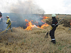 Los bomberos extinguen un incendio provocado por rastrojeras