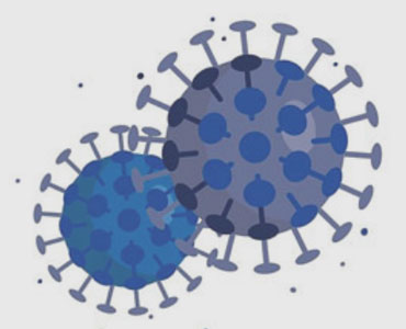 Información oficial sobre el coronavirus