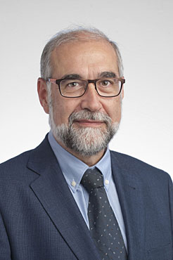 Fernando Domínguez Cunchillos