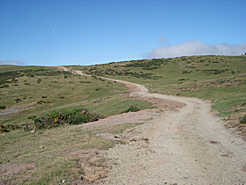 La vía de acceso que se ha creado en la Sierra de Aralar