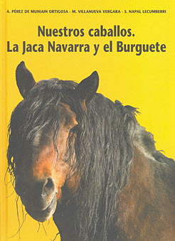 La Jaca Navarra y el Burguete