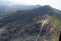 Imagen de superficie quemada en Gallipienzo