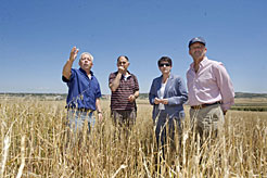 La consejera, acompañada de Ángel Eraul, el alcalde de Sesma y el presidente de Agroseguro, visita los campos de cereal dañados.