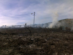Incendio forestal en Arre