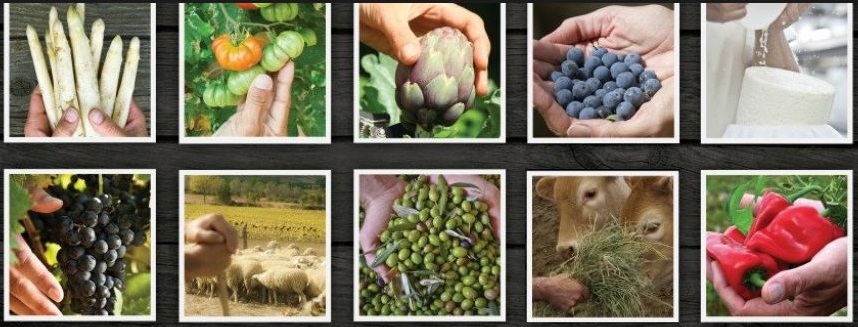 Fotos de productos agroalimentarios de Navarra y logo de Reyno Gourmet