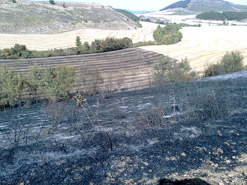 Terrenos afectados en Paternáin